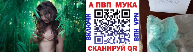 маркетплейс официальный сайт  Шенкурск  Alpha PVP крисы CK 