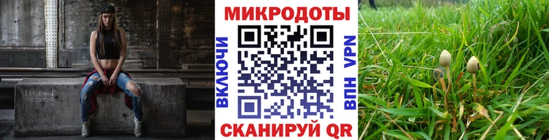 Псилоцибиновые грибы Psilocybe  купить наркотик  Шенкурск 